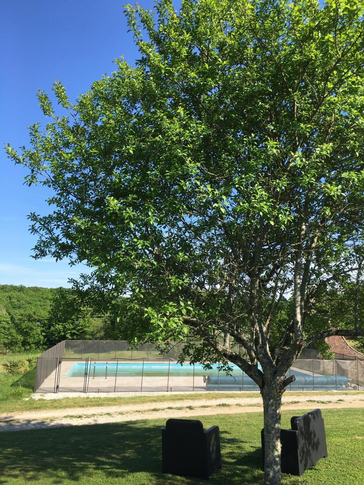 格拉马Le Domaine Du Gravier住宿加早餐旅馆 外观 照片